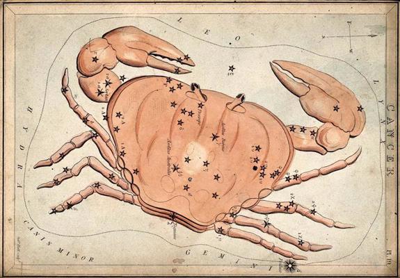 Zodiaka zvaigznājs – Vēzis. Ap 1825. gadu.