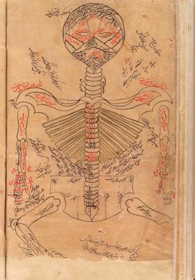 Avicennas zīmētā cilvēka skeleta sistēma enciklopēdijā “Medicīnas kanons”.