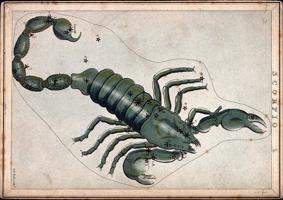 Zodiaka zvaigznājs – Skorpions. Ap 1825. gadu.