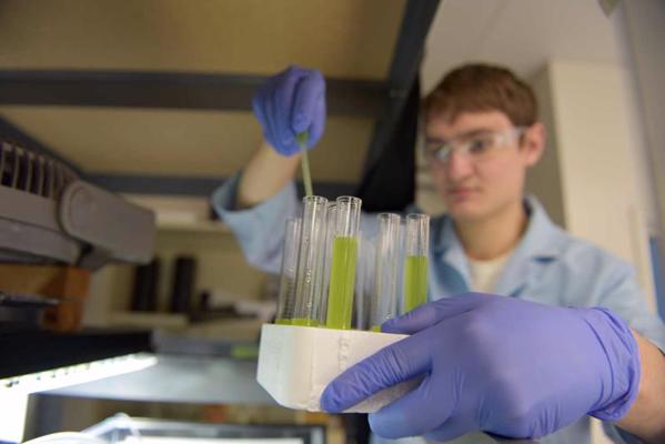 Bioķīmiķis pārbauda aļģu paraugu piemērotību biodegvielai. Klusā okeāna Ziemeļrietumu Nacionālā laboratorija, Vašingtona, ASV, 17.11.2016.
