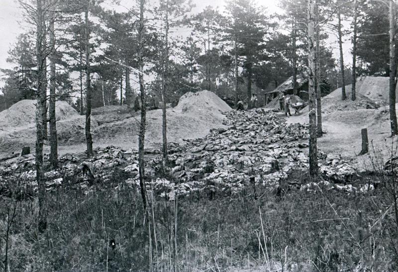 Katiņas mežā NKVD vienību 1940. gadā masveidīgi nogalināto poļu virsnieku mirstīgās paliekas pēc to atklāšanas un ekshumācijas vācu okupācijas laikā, 1943. gads.
