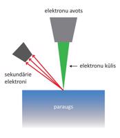Skenējošās elektronu mikroskopijas pamatprincipa ilustrācija.