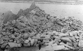 Ledus Daugavas malā ledus iešanas laikā. 03.1937.