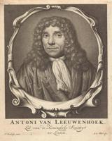 Antonijs van Lēvenhuks. 17.–18. gs.