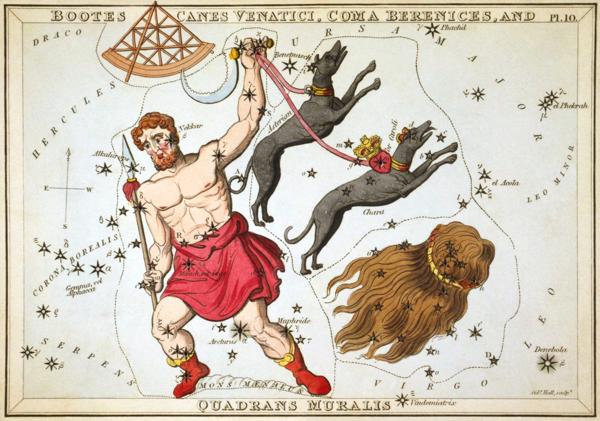 Vēršu Dzinēja zvaigznāja attēlojums atlantā “Urānijas spogulis jeb Skats uz Debesīm” (Urania’s mirror, or, A view of the Heavens, Londona, 1824).