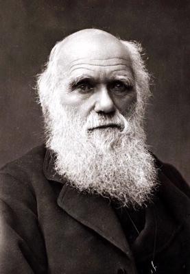 Čārlzs Darvins. 20. gs. sākums.