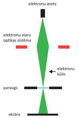 Caurejošā starojuma elektronu mikroskopijas pamatprincipa ilustrācija.
