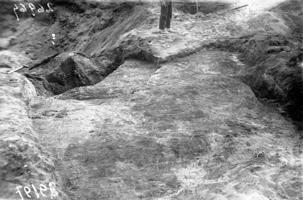 Kapenieku senkapu arheoloģisko izrakumu laikā atsegtais 25. kaps. Raņķu pagasts, 06.1931.