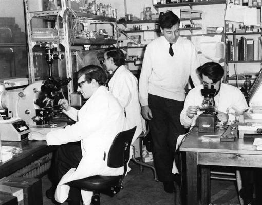 Roberts Edvardss ar kolēģiem veic in vitro fertilizācijas (IVF) pētījumus. Kembridža, 03.1969.
