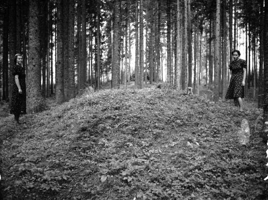 Īles meža senkapu X uzkalniņš pirms arheoloģisko izrakumu uzsākšanas. Īles pagasts, 07.1940.