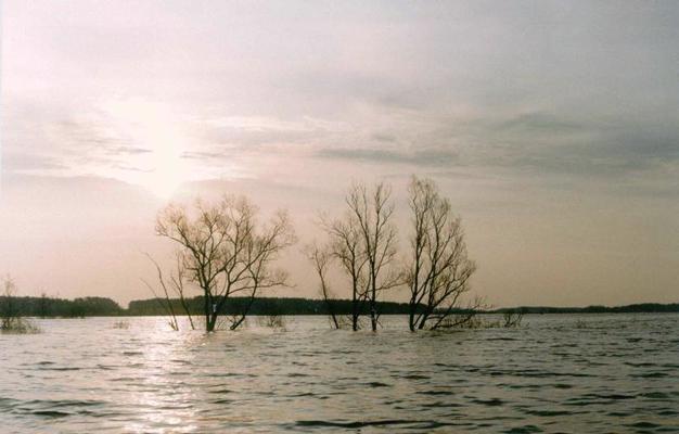 Applūdušais Skuķu ezers pavasara palos aprīļa vidū. 1999. gads.