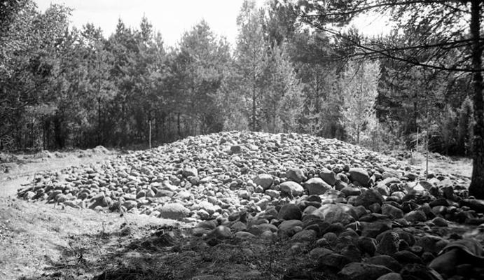 Buļļumuižas senkapi. 4-A uzkalniņa akmeņu segkrāvums. 1965. gads.