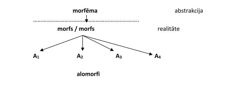 Morfēmas, morfa un alomorfu attieksmes.