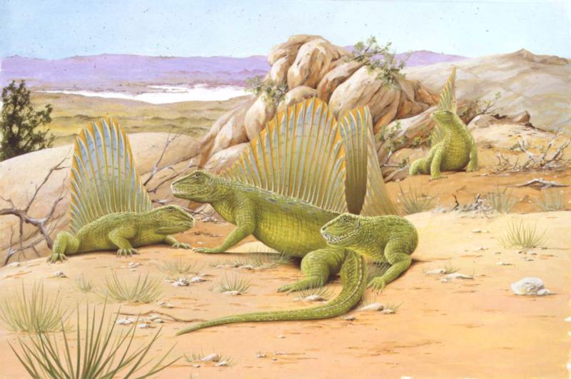 Perma zvērrāpuļi (Dimetrodon) sausā klimata ainavā.