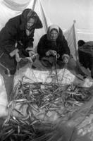 No kreisās: 1941. gada 14. jūnijā no Latvijas deportētās Anna Kauliņa un Johanna Hoferte zubatku zvejā Tolstijnosā, Krasnojarskas novadā.