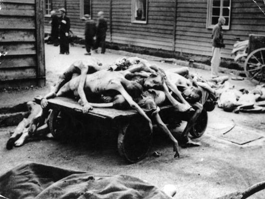 Nogalināti ieslodzītie koncentrācijas nometnē Aušvicā-Birkenavā. Polija, ap 1943. gadu.