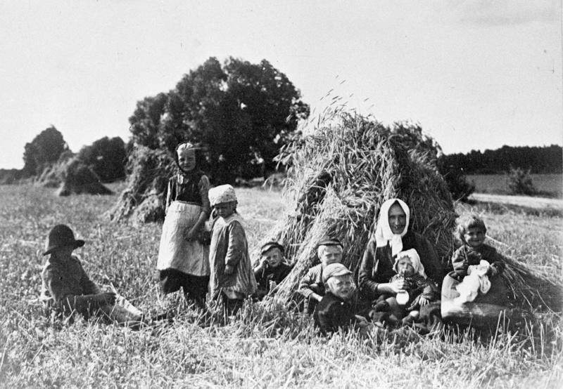 Zemnieku bērni piedalās ražas novākšanā. Latvija, 1915.–1916. gads.