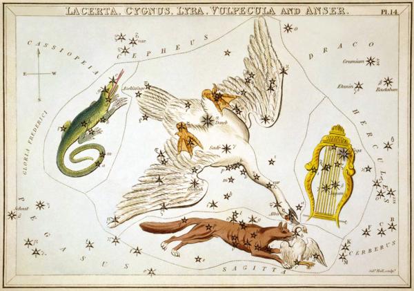 Gulbja un Liras zvaigznāju attēlojums atlantā “Urānijas spogulis jeb Skats uz Debesīm” (Urania’s mirror, or, A view of the Heavens, Londona, 1824).