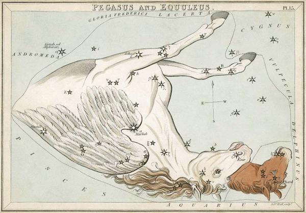 Pegaza zvaigznāja attēlojums atlantā “Urānijas spogulis jeb Skats uz Debesīm” (Urania's mirror, or, A view of the Heavens, Londona, 1824).