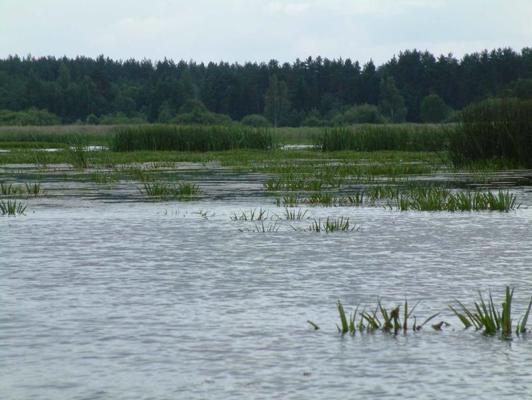Ļūbasta ezers. 07.2004.
