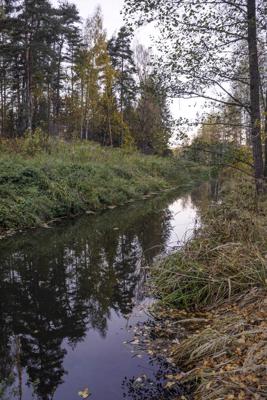 Misas upes pieteka – Pupla. Pārolaine, Olaines pagasts, 18.10.2022.