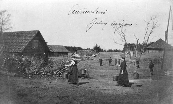 Buliņu zemnieku sēta Aumeisteru pagastā (tagad Smiltenes novada Grundzāles pagasts). 1912. gads.