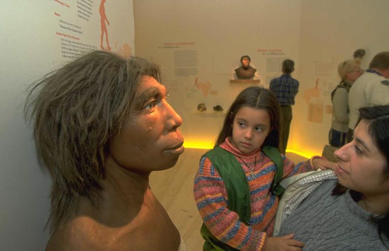Cilvēka evolūcijas posmiem veltīta izstāde. Darmštates muzejs, Darmštate, Vācija, 1998. gads.