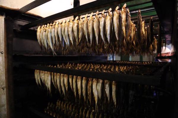 Kūpinātas reņģes zivju pārstrādes uzņēmumā "Banga LTD". Roja, 2014. gads.