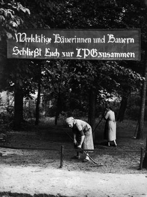 Divas sievietes grābj zāli zem izkārtnes ar uzrakstu “Strādājošie zemnieki – apvienojieties, lai izveidotu lauksamniecības kooperatīvu”. Austrumvācija, 1960. gads.
