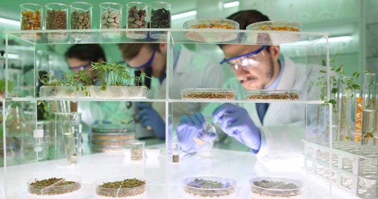 Pētnieku komanda lauksaimniecības ķīmijas laboratorijā veic ģenētiski modificētu augu sēklu pētījumus. 2017. gads.