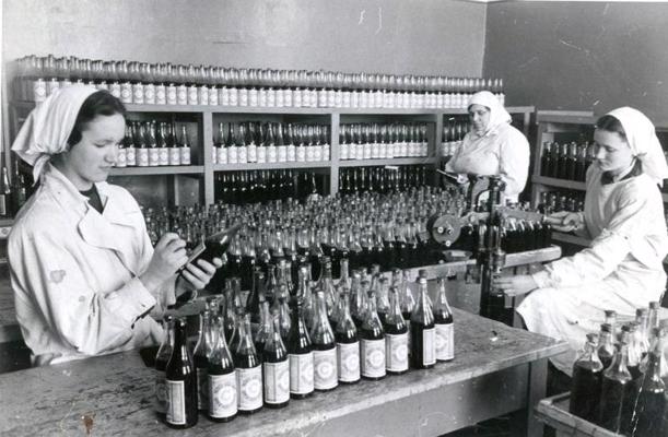Mežrožu augļu sīrupa fasēšana Eksperimentālās vitamīnu rūpnīcas ražošanas cehā. 1950.–1954. gads.