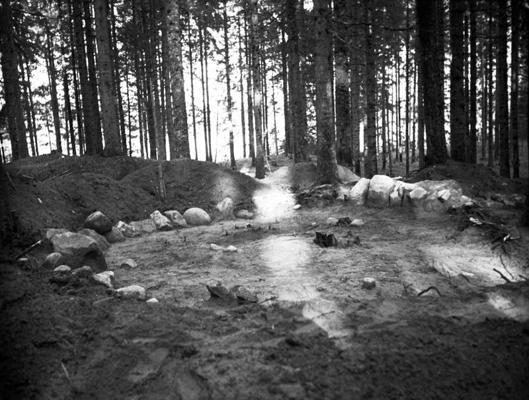 Īles meža senkapu XVIII uzkalniņš un daļa XVII uzkalniņa pēc norakšanas arheoloģisko izrakumu laikā. Īles pagasts, 07.1940.
