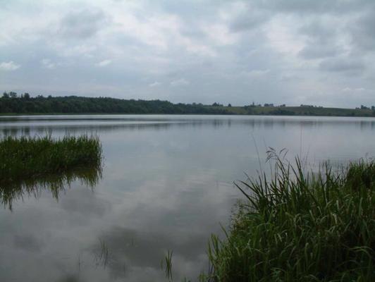 Koša ezers. 07.2004.