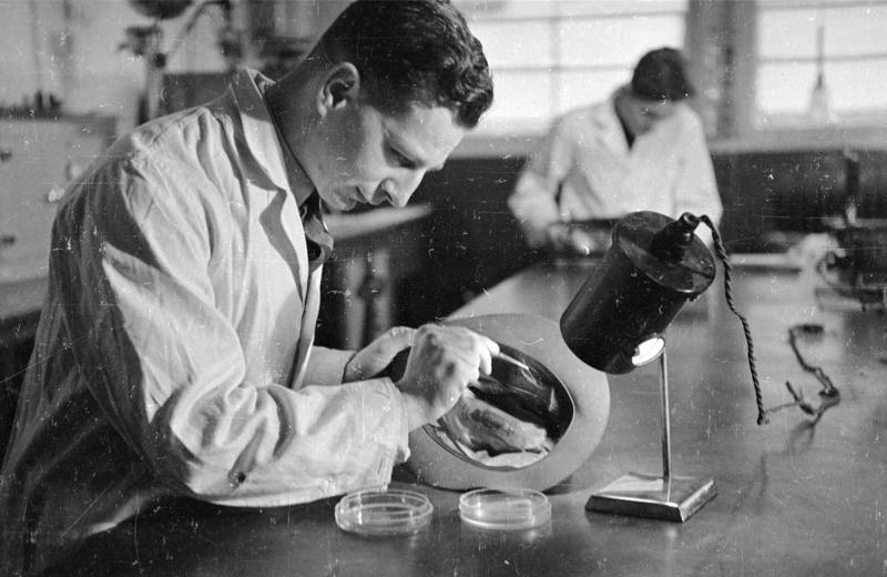 Kriminālistikas laboratorijas zinātnieks noņem matiņu no cepures, kas palikusi šaušanas vietā. Prestona, Anglija, 1945. gads.