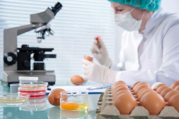 Kvalitātes kontroles eksperts laboratorijā pārbauda vistas olas. 2015. gads.