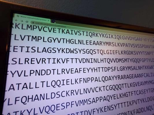 Uhaņas jaunā koronavīrusa ģenētiskās sekvences koda daļa datora monitorā. ASV, 29.01.2020.