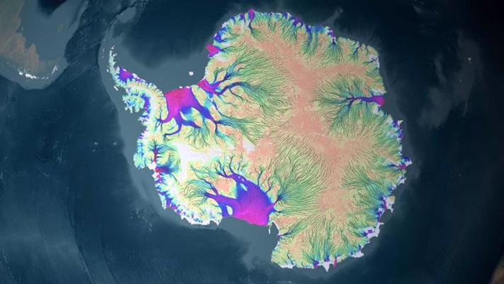 Antarktikas ledus vairogu ledus plūsmas virziens un ātrums. Gaiši rozā apgabali ir mazkustīga ledus apgabals – ledusšķirtne, no kuras ledus plūst pretējos virzienos. Vislielākais ledus plūsmas ātrums (violets, vairāki kilometri gadā) tiek sasniegts ledus vairogu malās – šelfa ledājos, kuri ir uzpeldējuši virs ūdens.