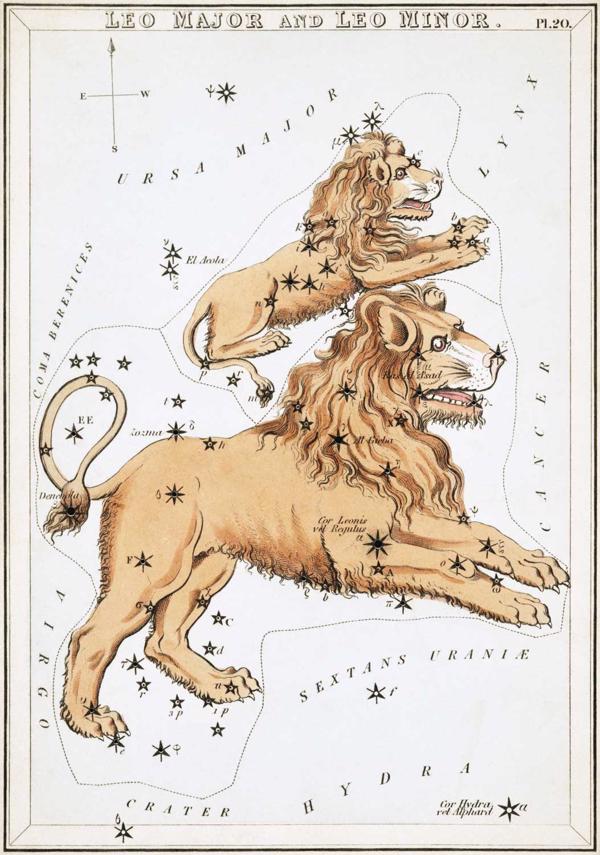 Lauvas zvaigznāja attēlojums atlantā “Urānijas spogulis jeb Skats uz Debesīm” (Urania’s mirror, or, A view of the Heavens, Londona, 1824).