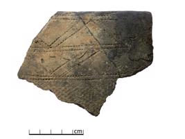 5. attēls. Aboras tipa keramikas fragments (Lubānas Aboras apmetne, Latvija).