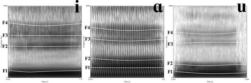 Patskaņu [i], [ɑ], [u] dinamiskās spektrogrammas. (Ar baltajām līnijām katram patskanim norādīti pirmie četri formanti (F1, F2, F3, F4). Formanti secīgi numurēti, sākot ar zemāko frekvenci.)