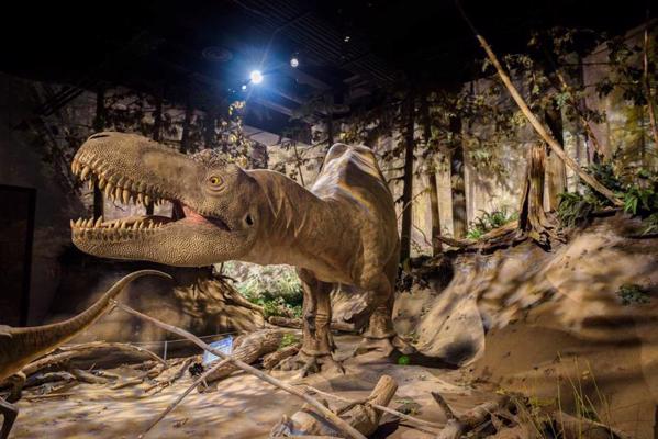 Dinozauru eksponāti Karaliskajā Tirella paleontoloģijas muzejā (Royal Tyrrell Museum of Palaeontology). Alberta, Kanāda, 06.07.2017.