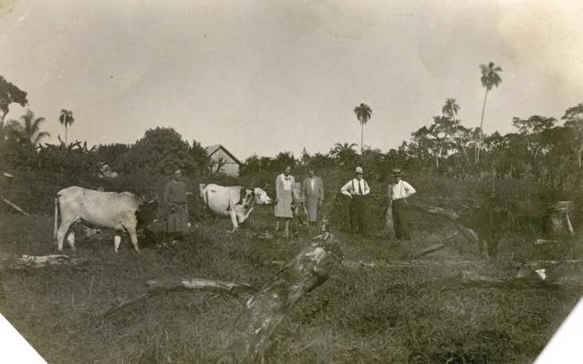 Brazīlijas latvieši savā saimniecībā Vārpas kolonijā. 1929. gads.