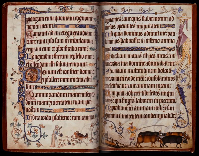 Zemnieki lauku darbos. Ilustrācija Latrella Psalmu grāmatā (Luttrell psalter), Linkolnšīra, ap 1325.–1340. gadu.
