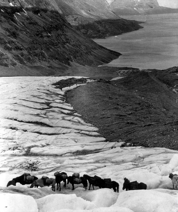Ģeofiziķa Alfrēda Vegenera Grenlandes ekspedīcija, 11.1930.
