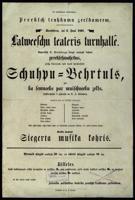 Pirmās profesionāli organizētās izrādes “Žūpu Bērtulis” afiša. 1868. gads.