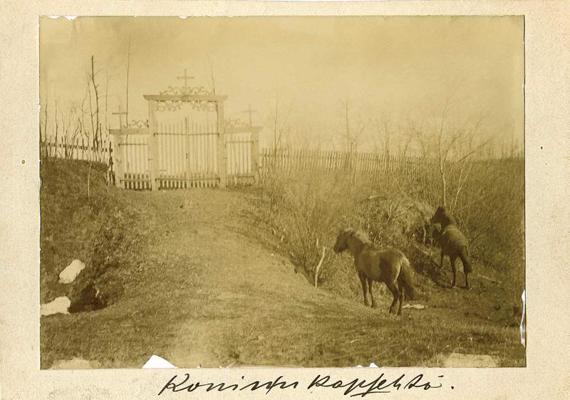 Ķoniņu kapsēta. Kuldīgas apriņķa Turlavas pagasta Ķoniņciems. 1895. gads.