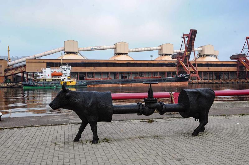 Mākslas projekta "Ventspils govju parāde" eksponāts. Ventspils, 2010. gads.